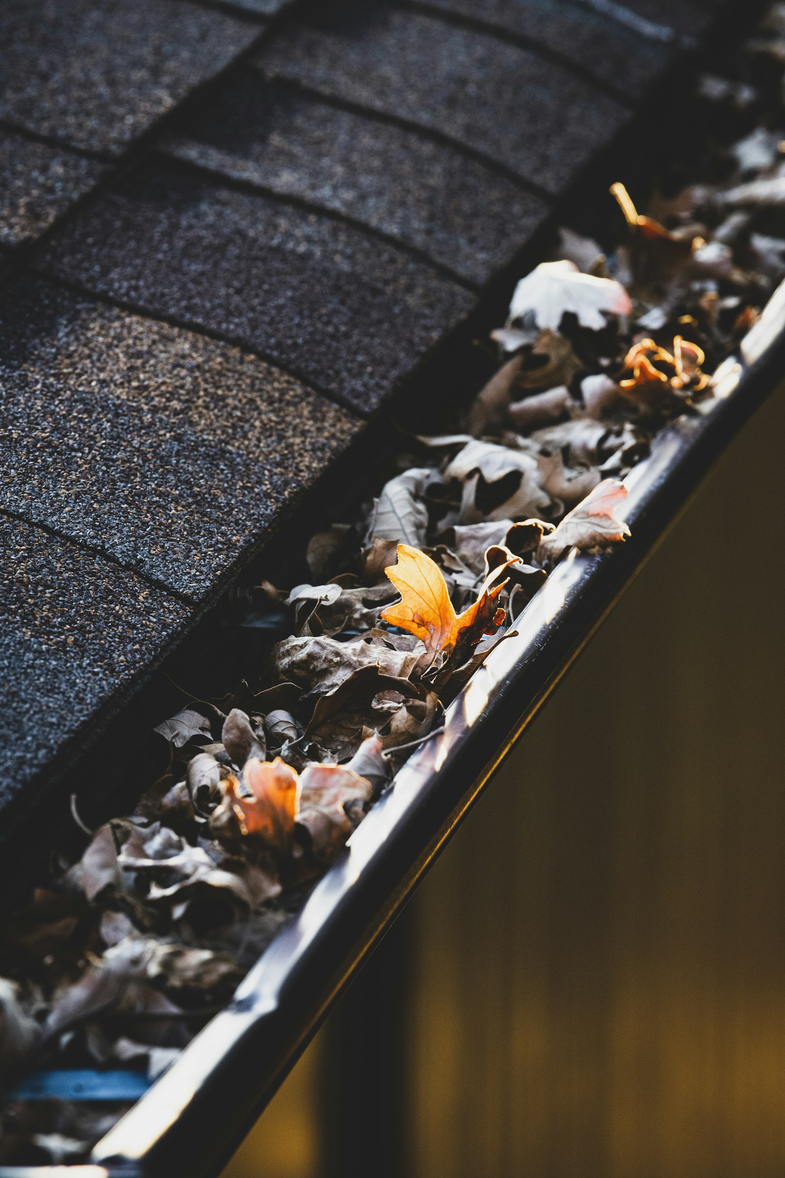 Clean Gutters project photo 1