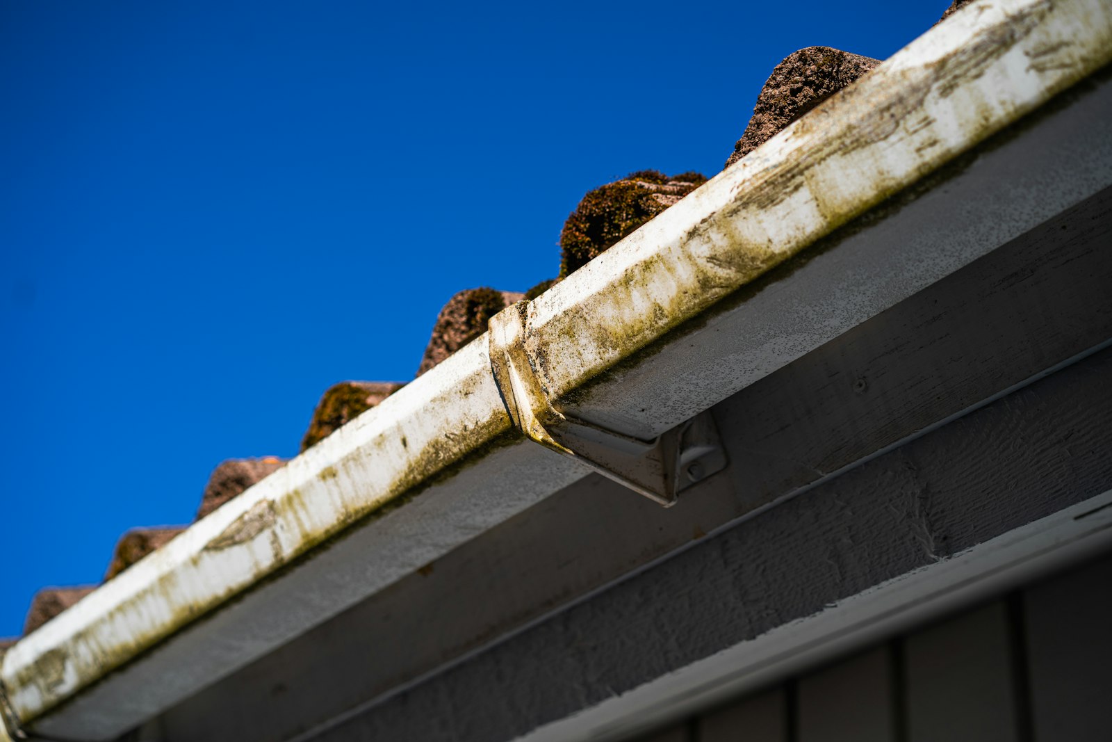Clean Roof project photo 2