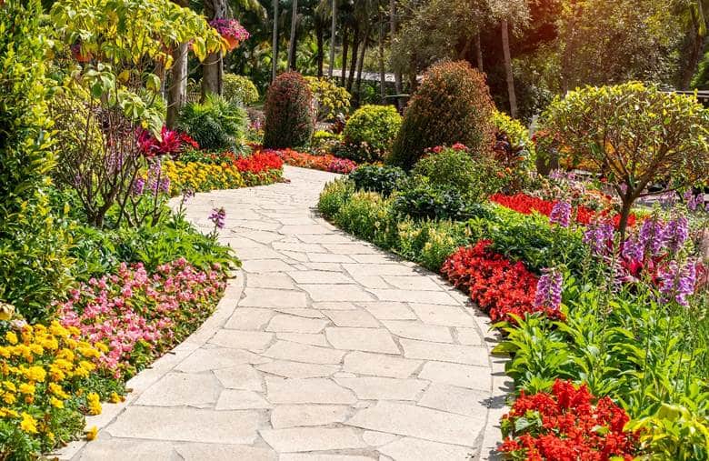 Walkway Landscaping project photo 3